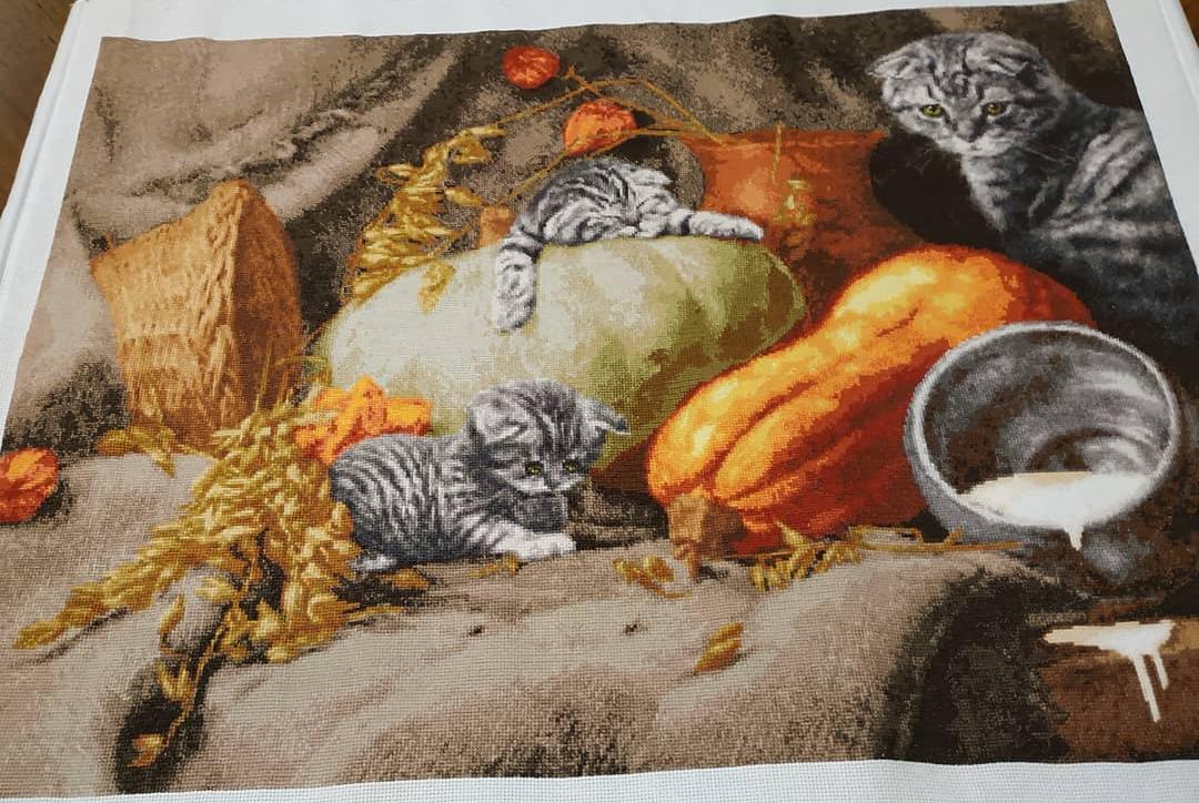 Изображение к отзыву Ольга(@abrik0sa)