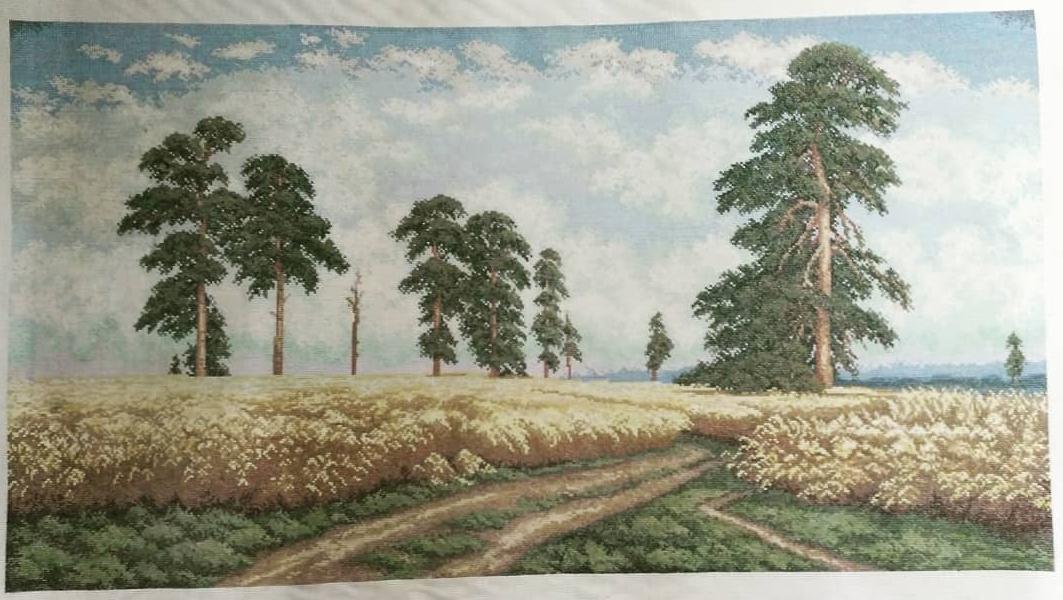 Изображение к отзыву Anastasia